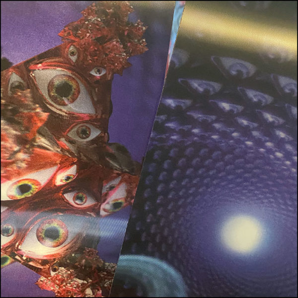 Tool: Fear Inoculum (Expanded Book Edition)