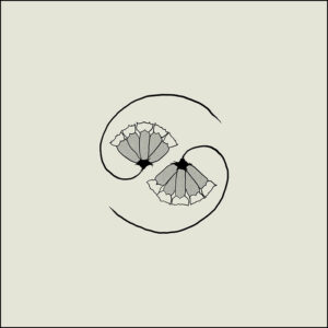 Godspeed You! Black Emperor: G_d’s Pee AT STATE’S END!