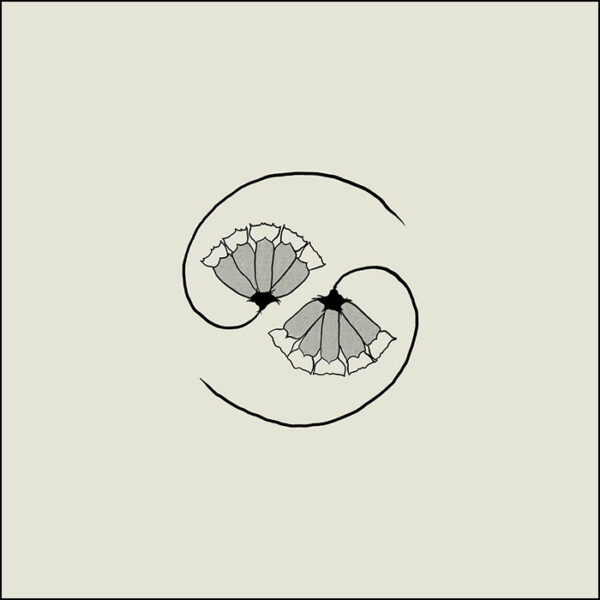 Godspeed You! Black Emperor: G_d’s Pee AT STATE’S END!