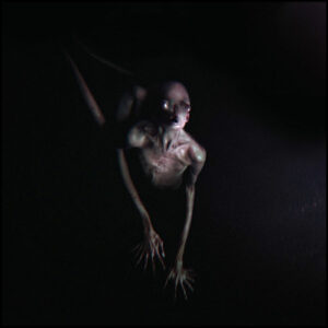 Tool: Opiate2 (Limited Hardcover Blu-Ray Art Book)