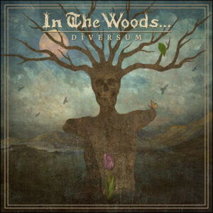 In The Woods: Diversum (Coloured Vinyl)