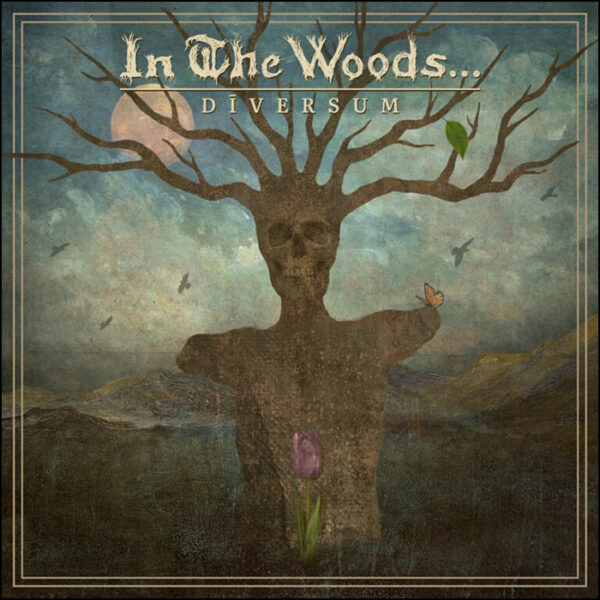 In The Woods: Diversum (Coloured Vinyl)