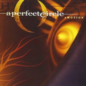 A Perfect Circle: aMotion