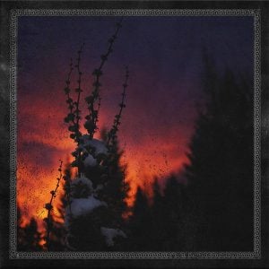 Blackbraid: Nocturnal Womb (Bloodlust Edition)