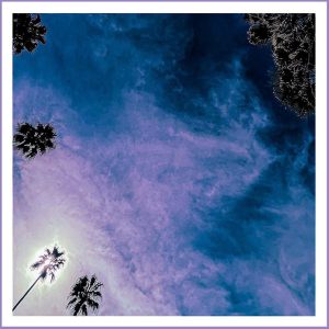 Look Outside Your Window: Look Outside Your Window (Vinyl)